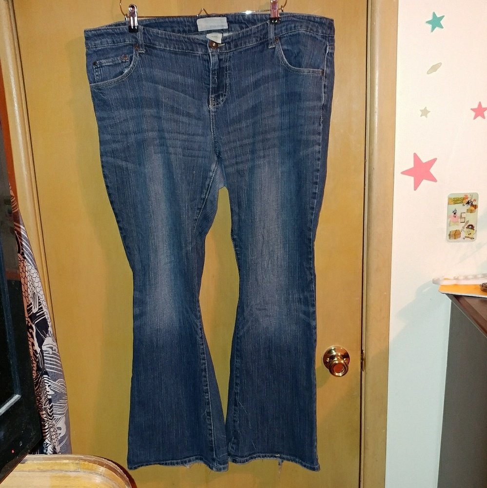 Maurices Flare Jeans